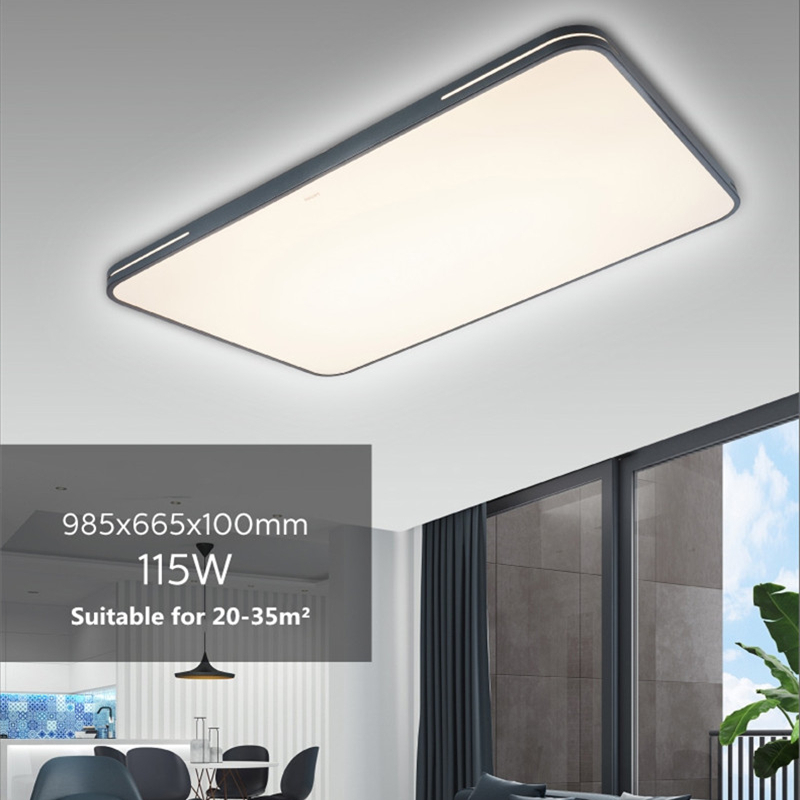 floureon led ceiling light