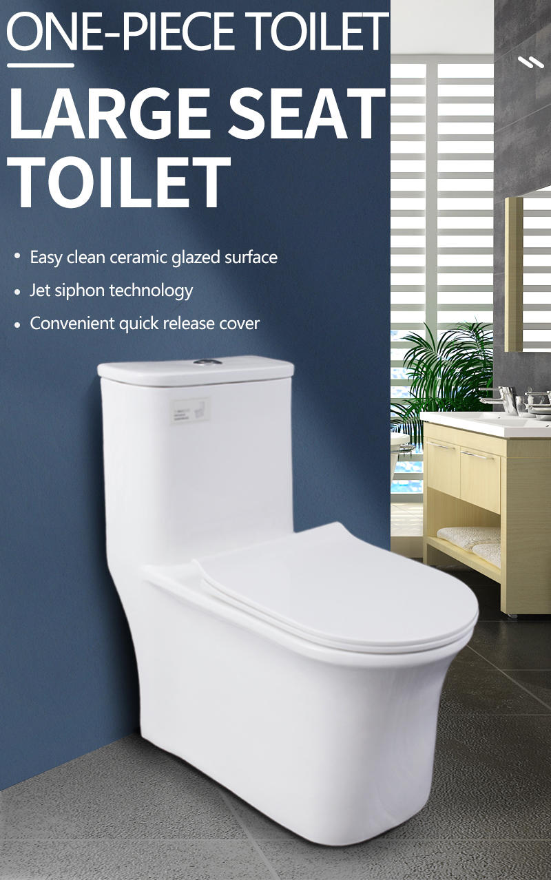 Household One Piece Toilet Ceramic Deodorant Toilet Zy T 030