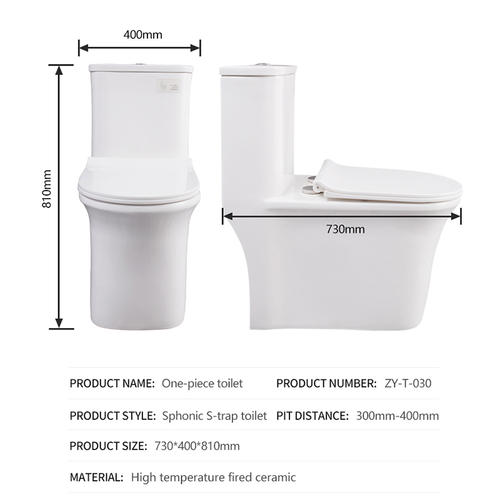 Household One Piece Toilet Ceramic Deodorant Toilet Zy T 030