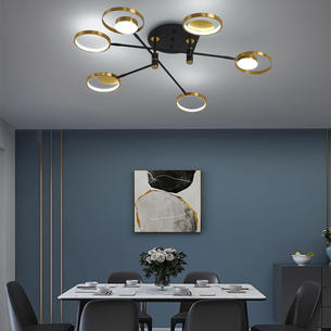Contemporary Ceiling Lights YD-1286-6