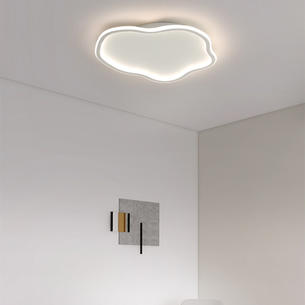Contemporary Ceiling Lights-FS7115-500