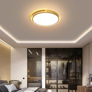 Contemporary Ceiling Lights-FSMD6811-580