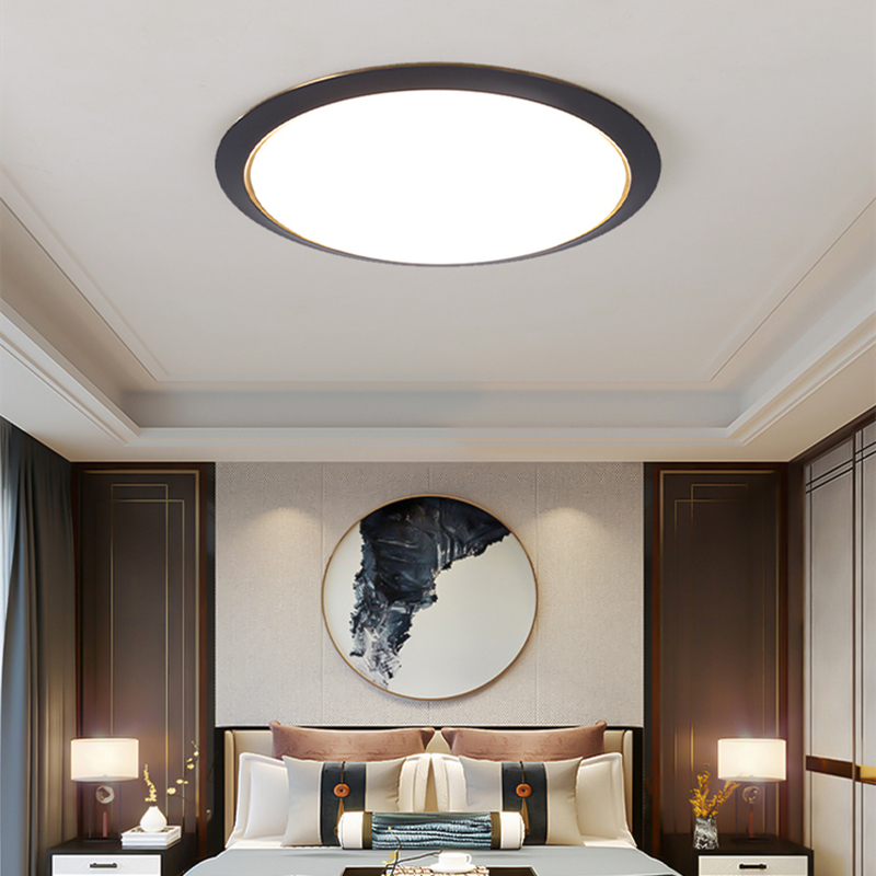 Modern Ceiling Lights For Hallway-HFL656-420