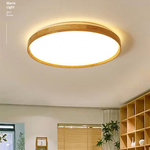 Contemporary Ceiling Lights-HFL622-780
