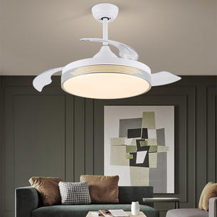 Ceiling Fan With Light-MKJ5302