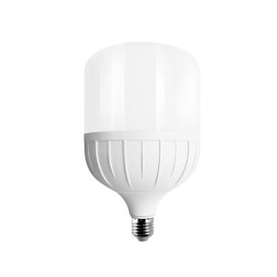 Lightbulb LF-QP100T-30W