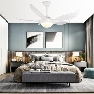 Bedroom Ceiling Fans With Lights-HYSLY2819