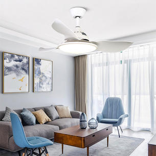 Bedroom Ceiling Fans With Lights-HYSLY2503
