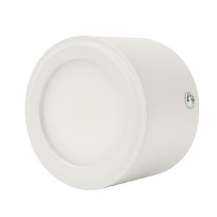 Surface Mounted Downlight BLD-304MS-7W