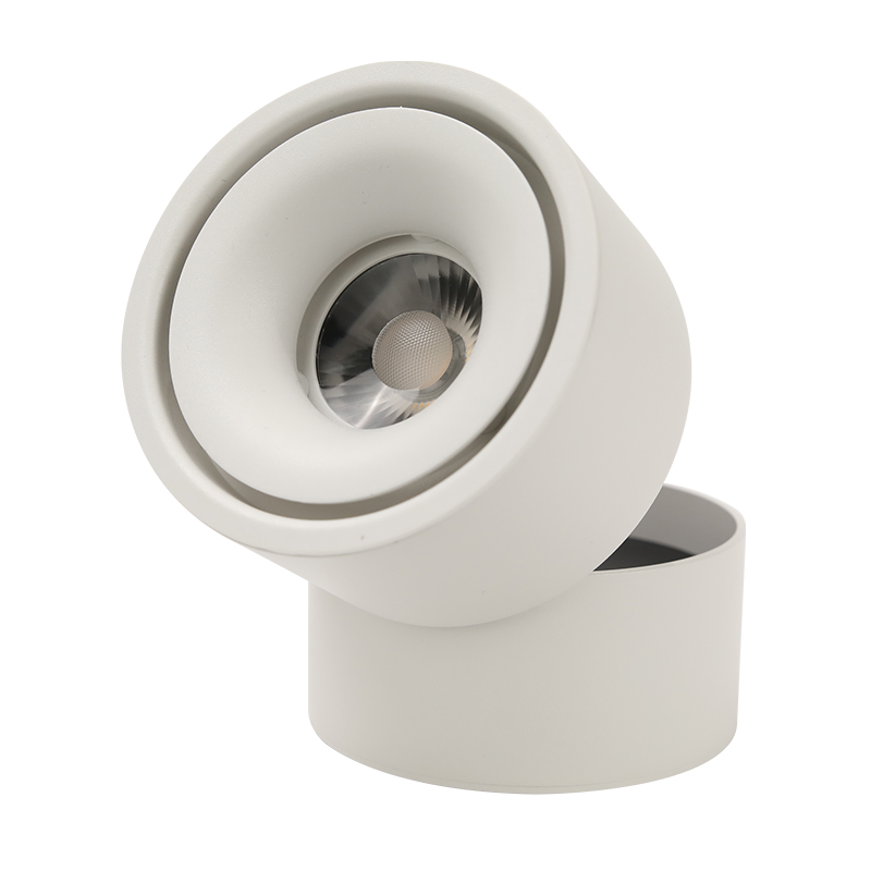 Surface Mounted Spotlight BLD-8993-9W