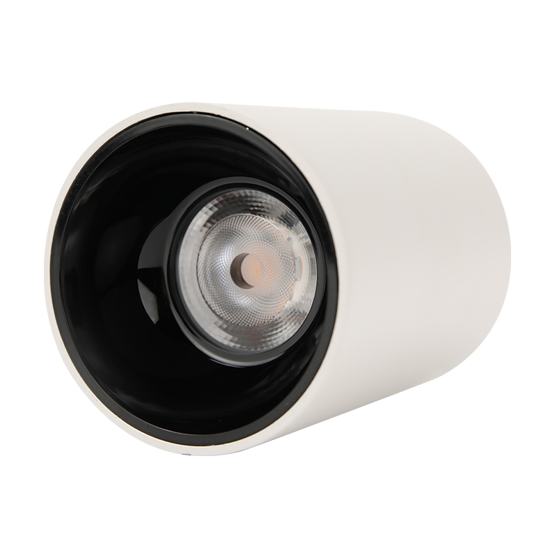 Surface Mounted Spotlight BLD-81081-7W