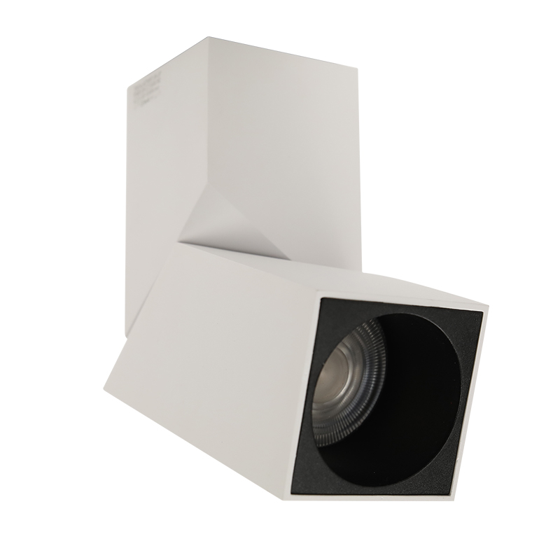 Surface Mounted Spotlight BLD-8971-10W