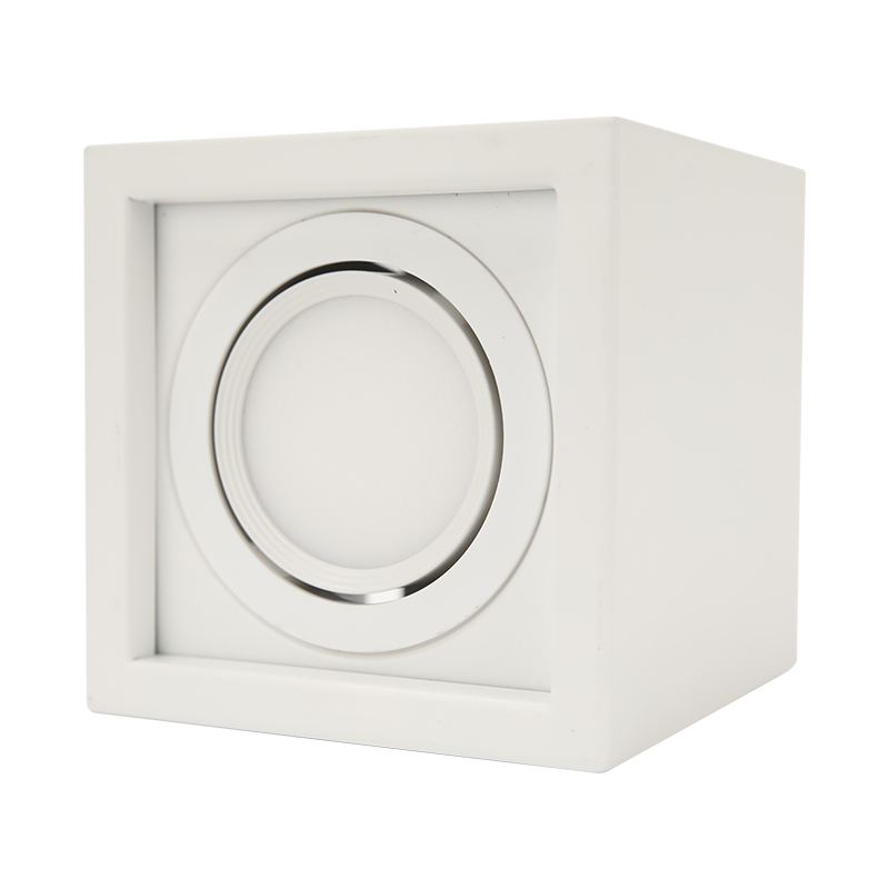 Surface Mounted Downlight BLD-302MS-7W