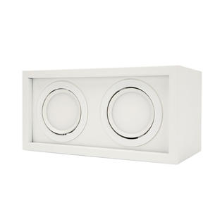 Surface Mounted Downlight BLD-302MS-2-7W