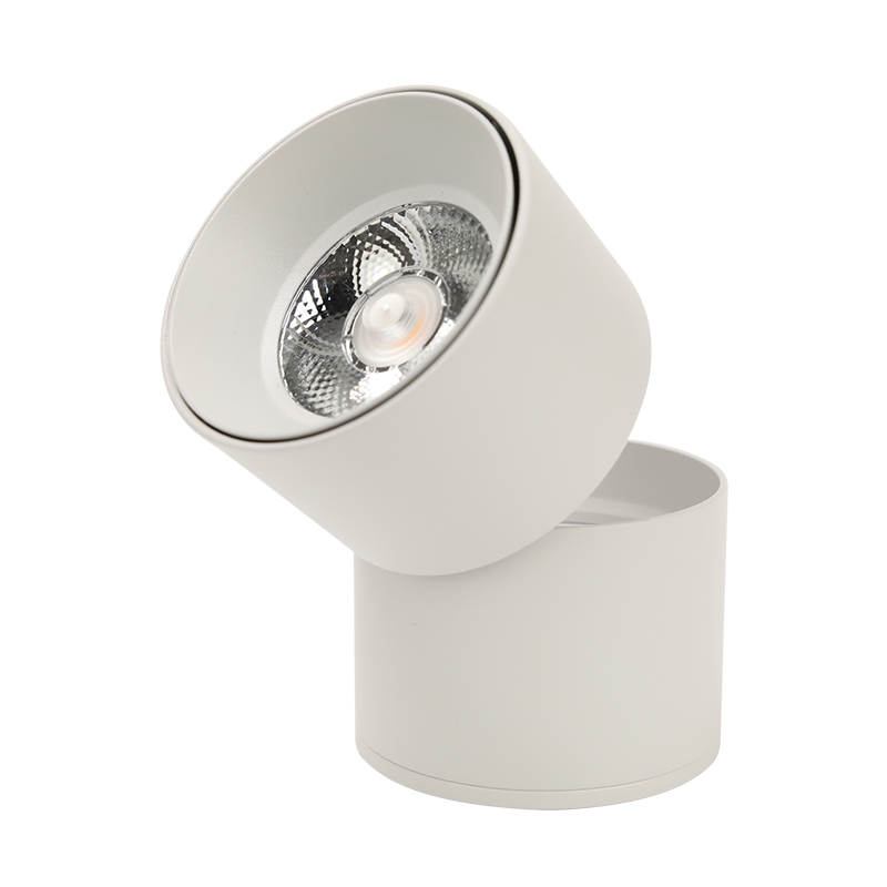 Surface Mounted Spotlight BLD-8961-7W