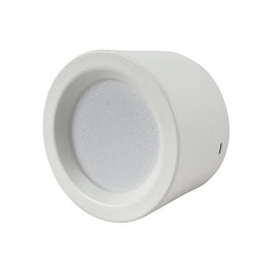 Surface Mounted Led Spotlights AD-ZM-A025-5W