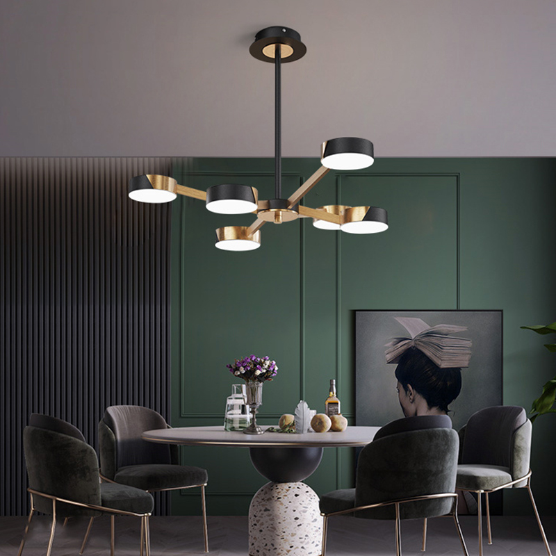 Pendant Chandelier Modern-LDKJ-6890-6