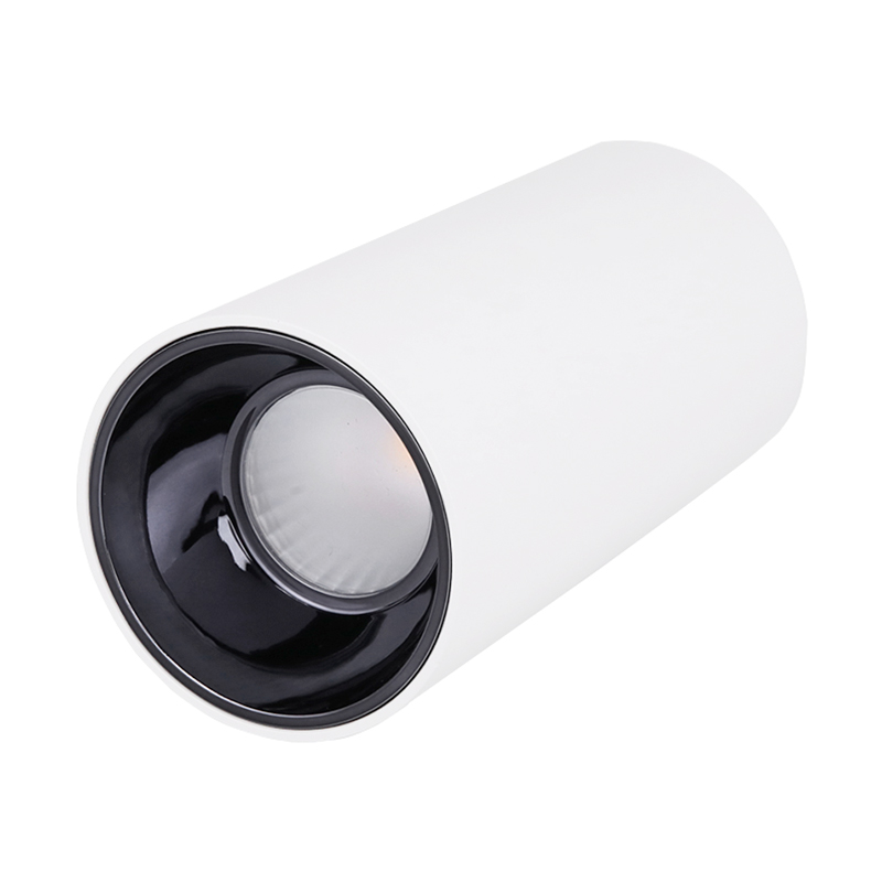 Surface Mounted Spotlight-BLD-MZTH81050-7W