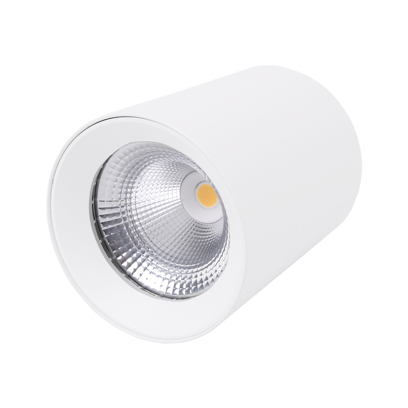 Surface Mounted Spotlight-BLD-MZWM8003-7W-Project