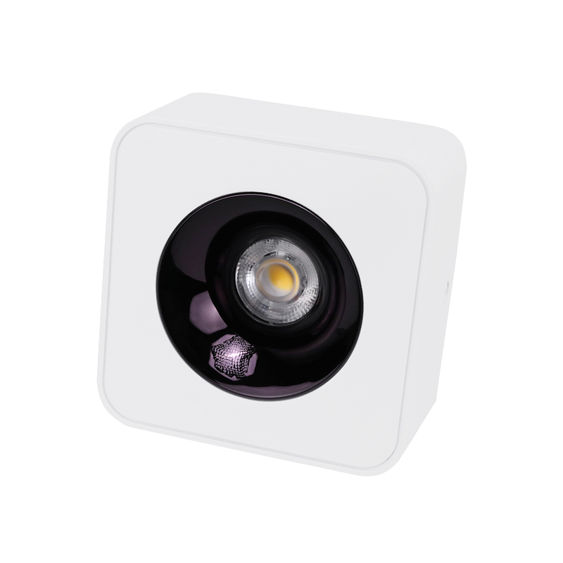 Surface Mounted Spotlight-BLD-MZTH81091-7W-Project