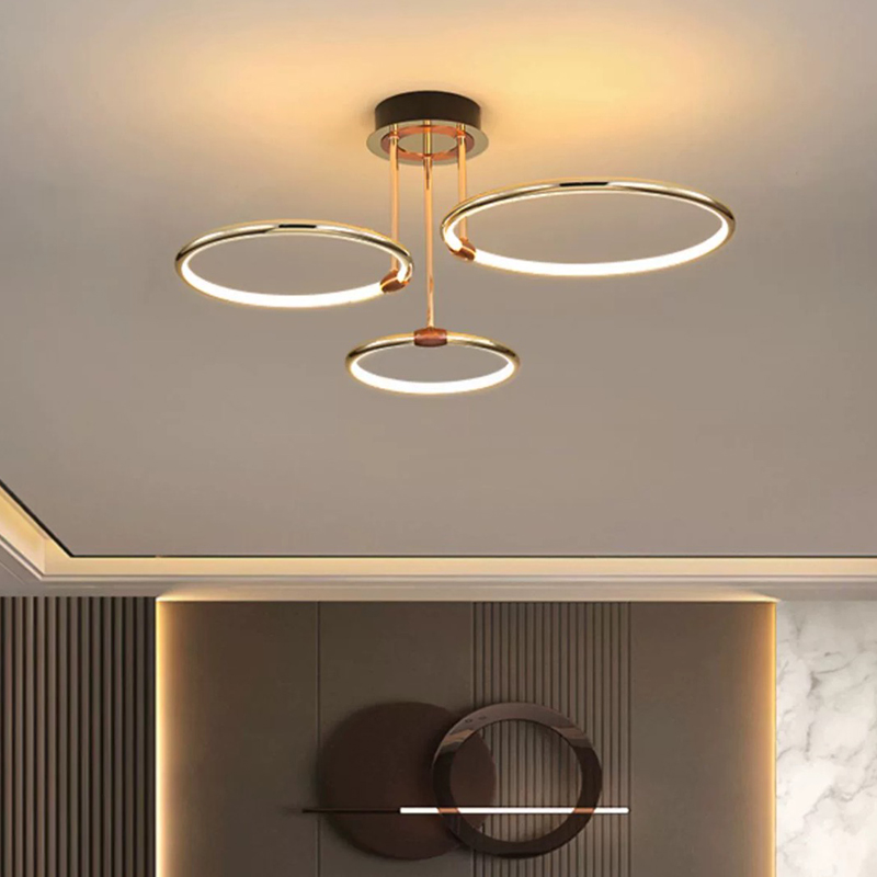 Contemporary Ceiling Lights-LDKJ-4025-3