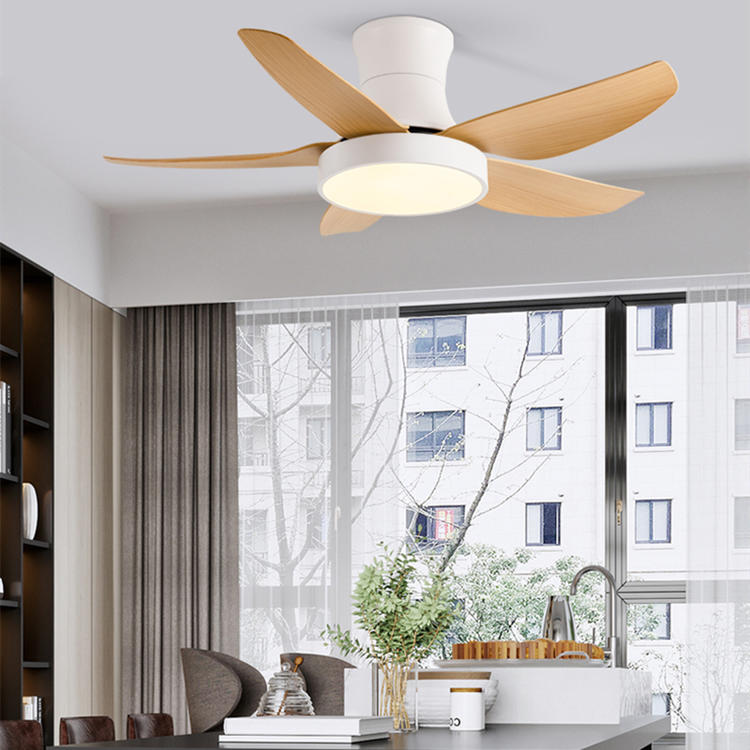 Remote Fan With Light-MKJ647