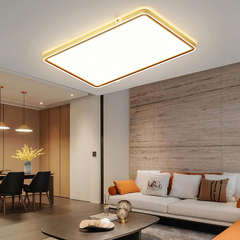 Modern Ceiling Lights Living Room DNZMTL8830-1100