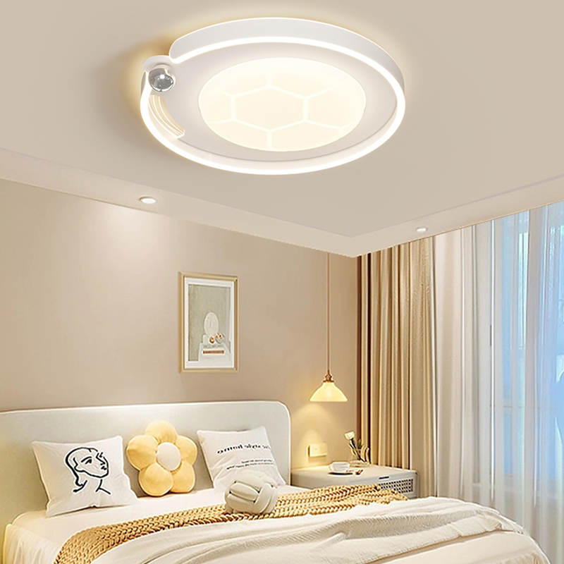 Modern Ceiling Lamp-FS-MD3373-Y