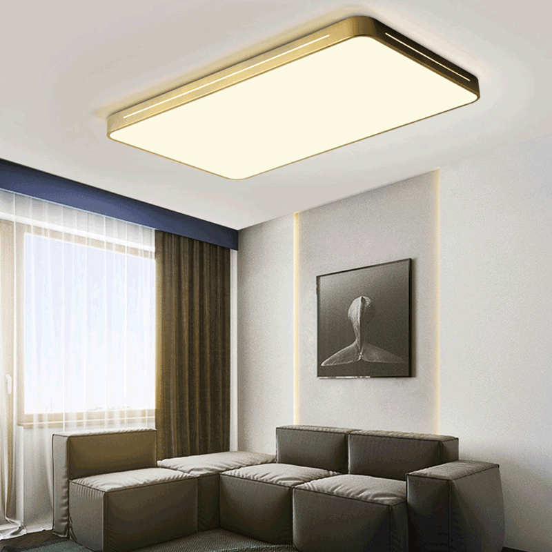 Living Room Ceiling Lights-YM-8421-C