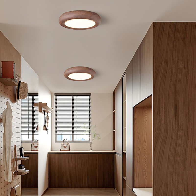 Modern Ceiling Lights For Hallway-BOKJ-2424